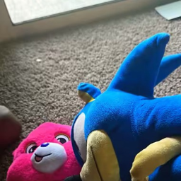 Sonic Kingdom