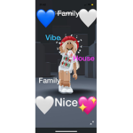 Vibehousefamily