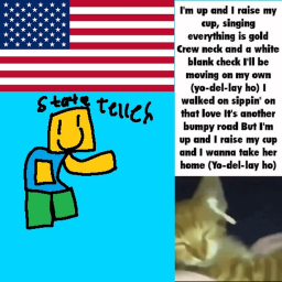 usa