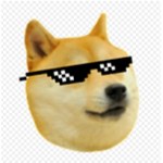 Alfi cats dogs