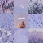 ‘ D r e a m s ‘