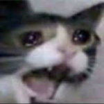 Grupo meu ,-,