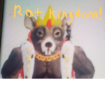 The # true RAT Kingdom