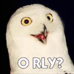 O RLY Owls