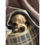 Charli’s private group