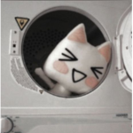 Mew !?