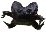 thing that strange