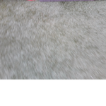 King of yeet