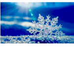 SNOW KILLERS!