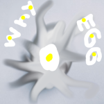 WHY EGG