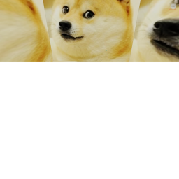 Doge World