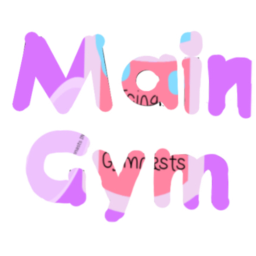 Icing Gymnastics Main Gym