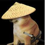 XNOZ