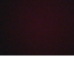 blood gang all evey day