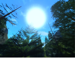 Forest & Terrain test