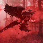 Sage Hangout!