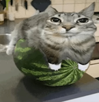 Oofers oofity