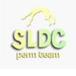 SL DANCE COMPANY