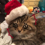 ChristmasVibes>:D