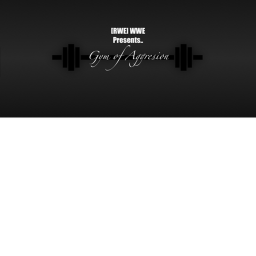 Gym of Aggression