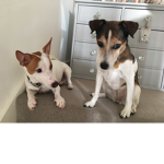 Mollz n Rex FANCLUB