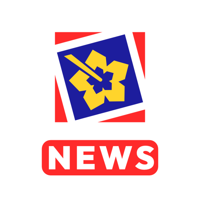 RobustNewsService preview 1