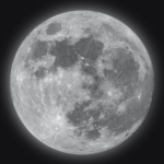 [ Moonlight Sorority ]