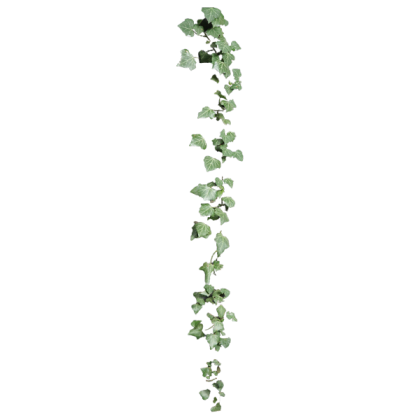 TB PNG Nature Y2K Floral Vine Roblox decal