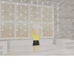 ~Berry Boutique~