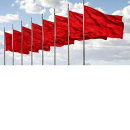 Consigue la bandera