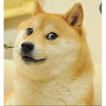 Doge village of water earth air fire