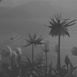 losing