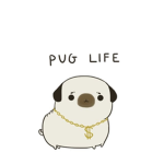 Pugg life