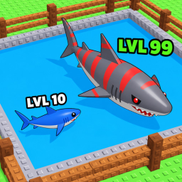 Train your Shark!