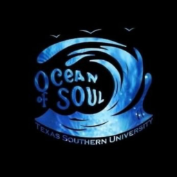 Texas southern marching band