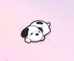 arixqlli