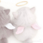 angel's letter