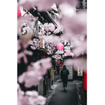 Alone In Tokyo