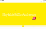 Sky's funtime group
