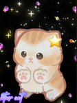 •star cat•