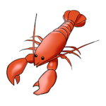 LUCKY LOBSTERS!
