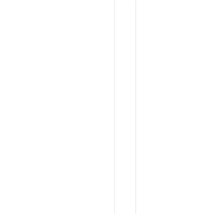 Double White Line Stripe