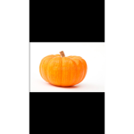 Pumkin love