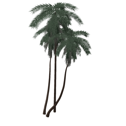 🌴 Realistic Palm Tree Tropical Beach Island PBR