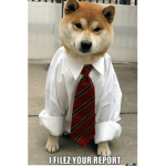 The dog company!