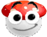 fungaga