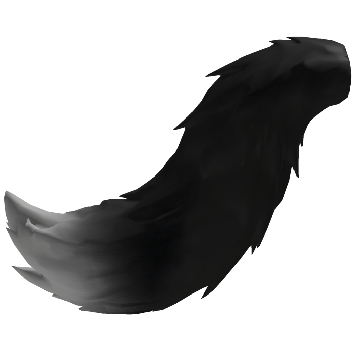 Cute Black Fox Tail