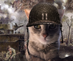 Lulu cats