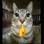 Mewing Cat Item Owners