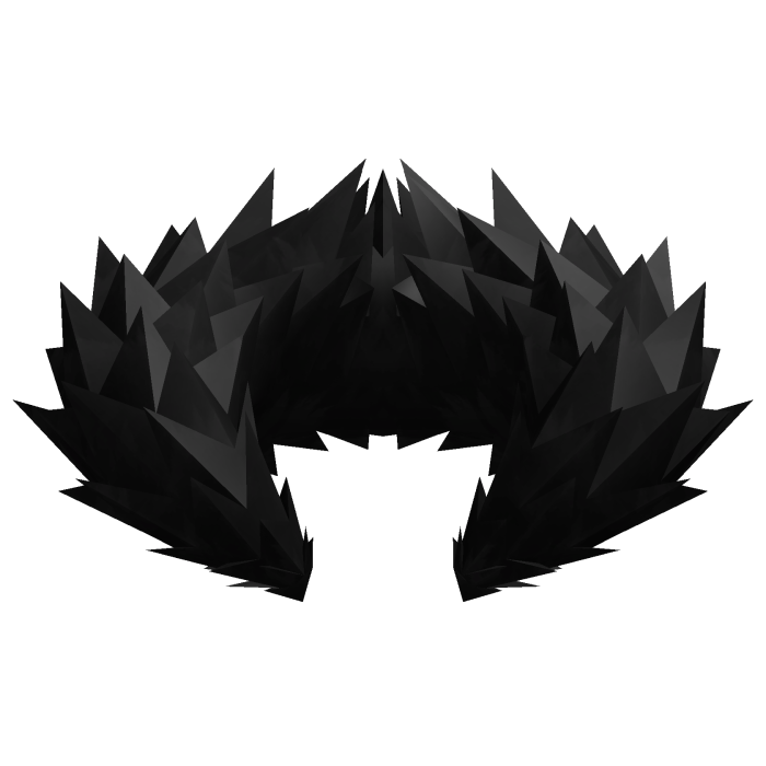 Black Fur Collar